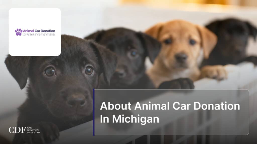 About Animal Car Donation In Michigan