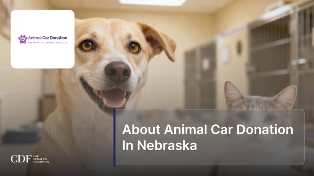 About Animal Car Donation In Nebraska