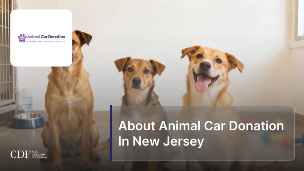 About Animal Car Donation In New Jersey