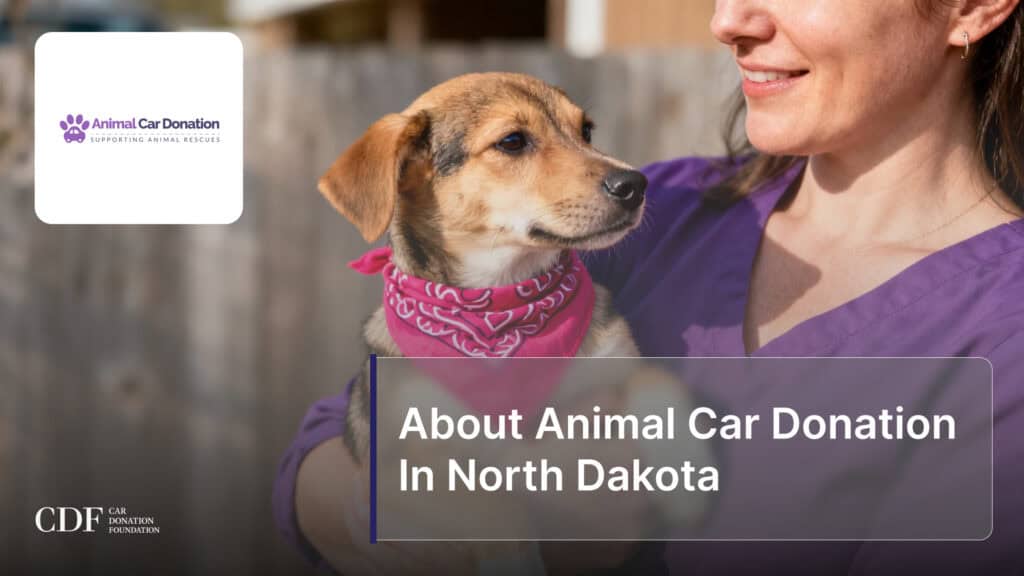 About Animal Car Donation In North Dakota