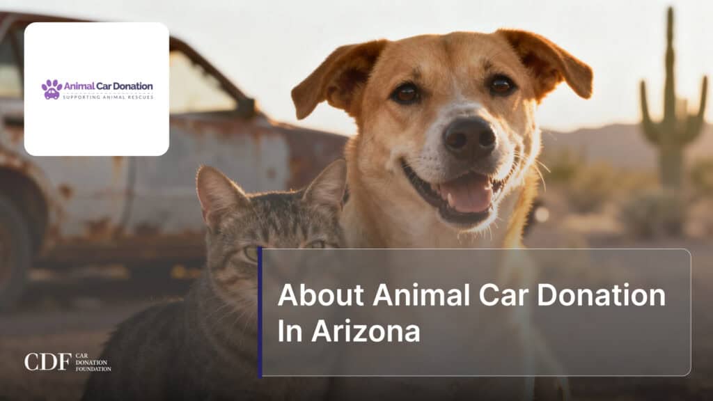 About Animal Car Donation In Arizona