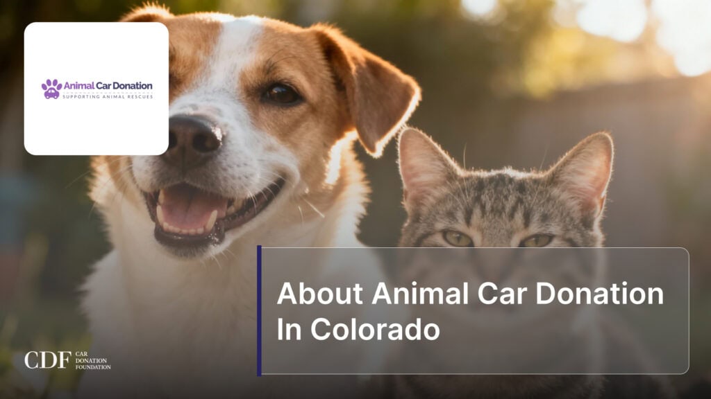 About Animal Car Donation In Colorado