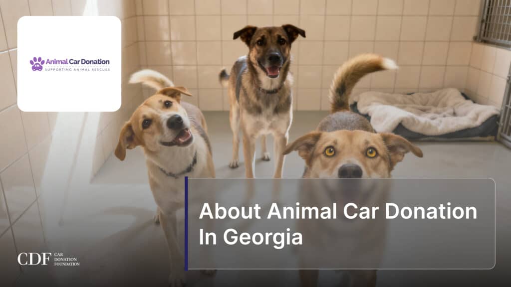 About Animal Car Donation In Georgia