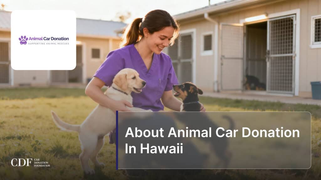 About Animal Car Donation In Hawaii