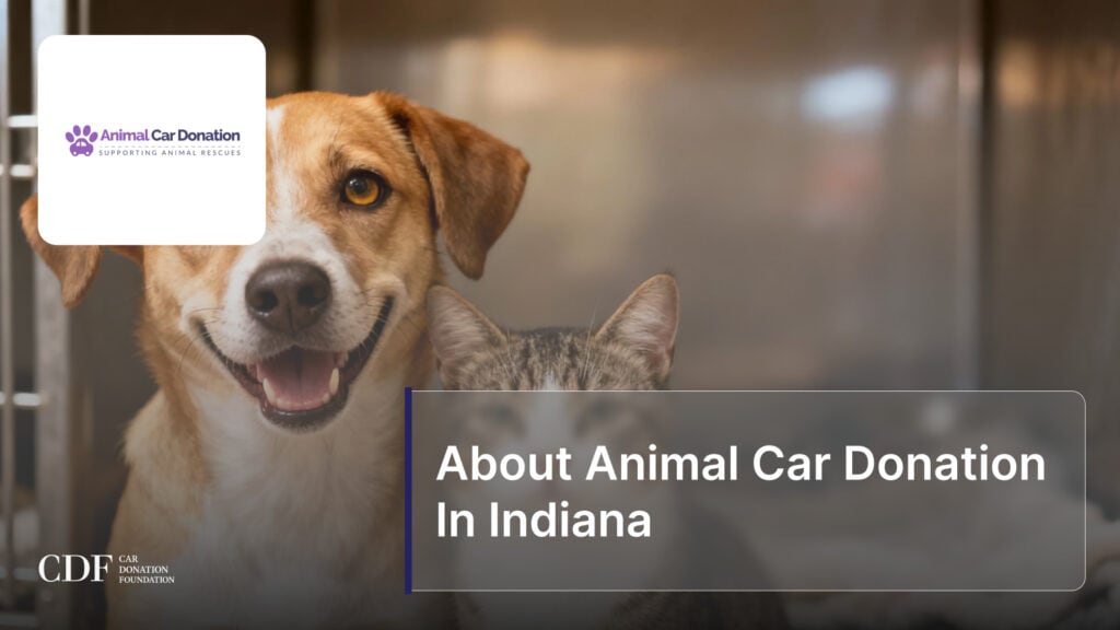 About Animal Car Donation In Indiana