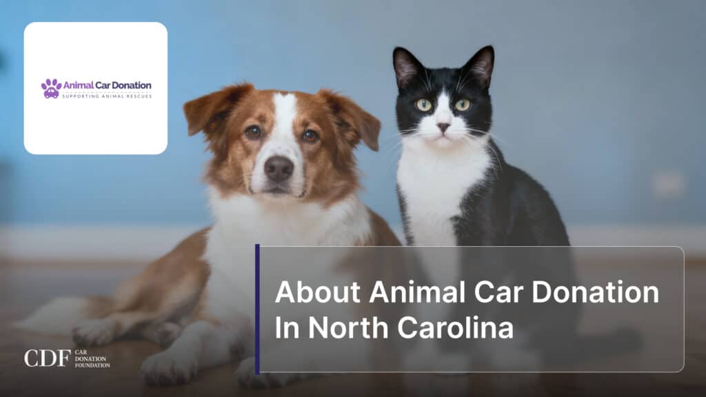 About Animal Car Donation In North Carolina