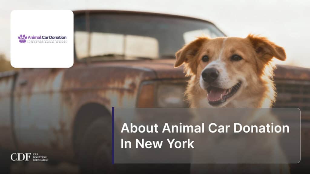 About Animal Car Donation In New York
