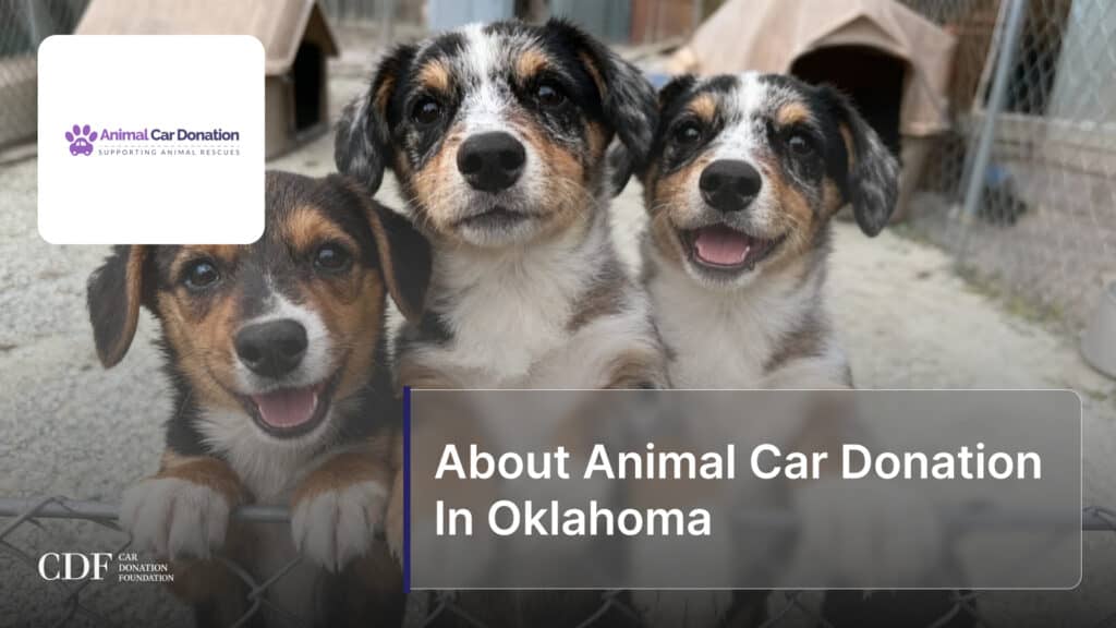 About Animal Car Donation In Oklahoma