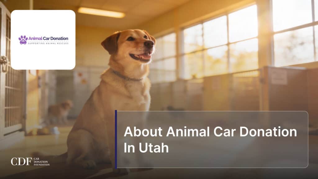 About Animal Car Donation In Utah