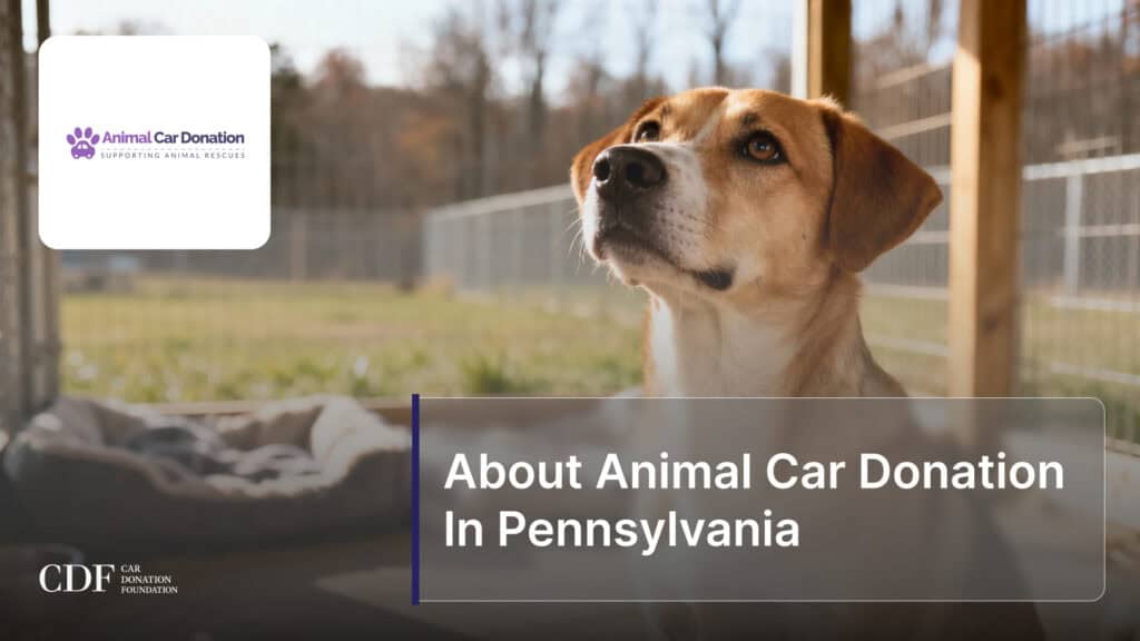 About Animal Car Donation In Pennsylvania