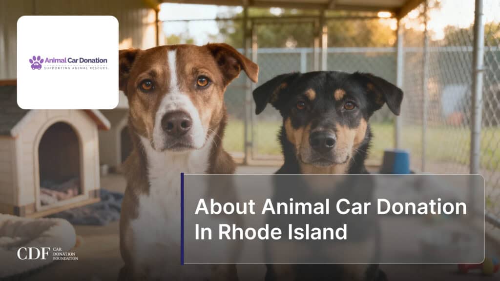 About Animal Car Donation In Rhode Island
