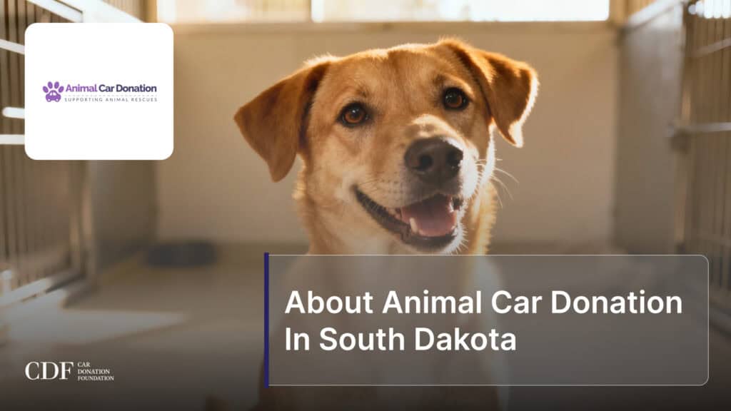 About Animal Car Donation In South Dakota