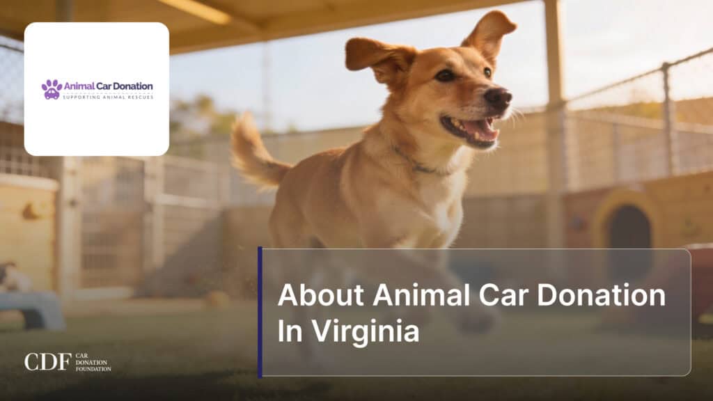 About Animal Car Donation In Virginia